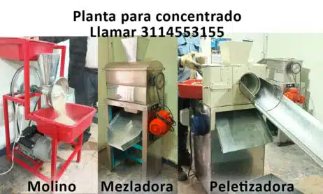 Planta para concentrado